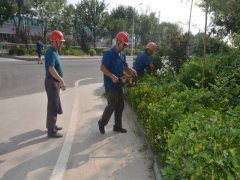 鞏固衛(wèi)生城 我們在行動